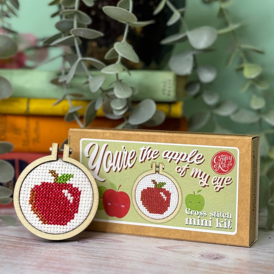 'You're The Apple Of My Eye' Mini Matchbox Cross Stitch Kit