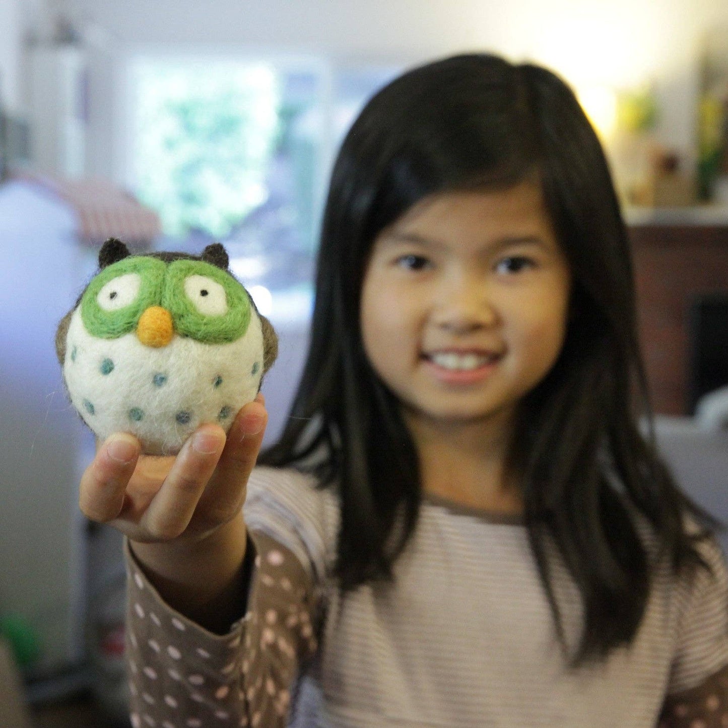 Needle Felting Kit - DIY Owl Craft Kit for Beginners