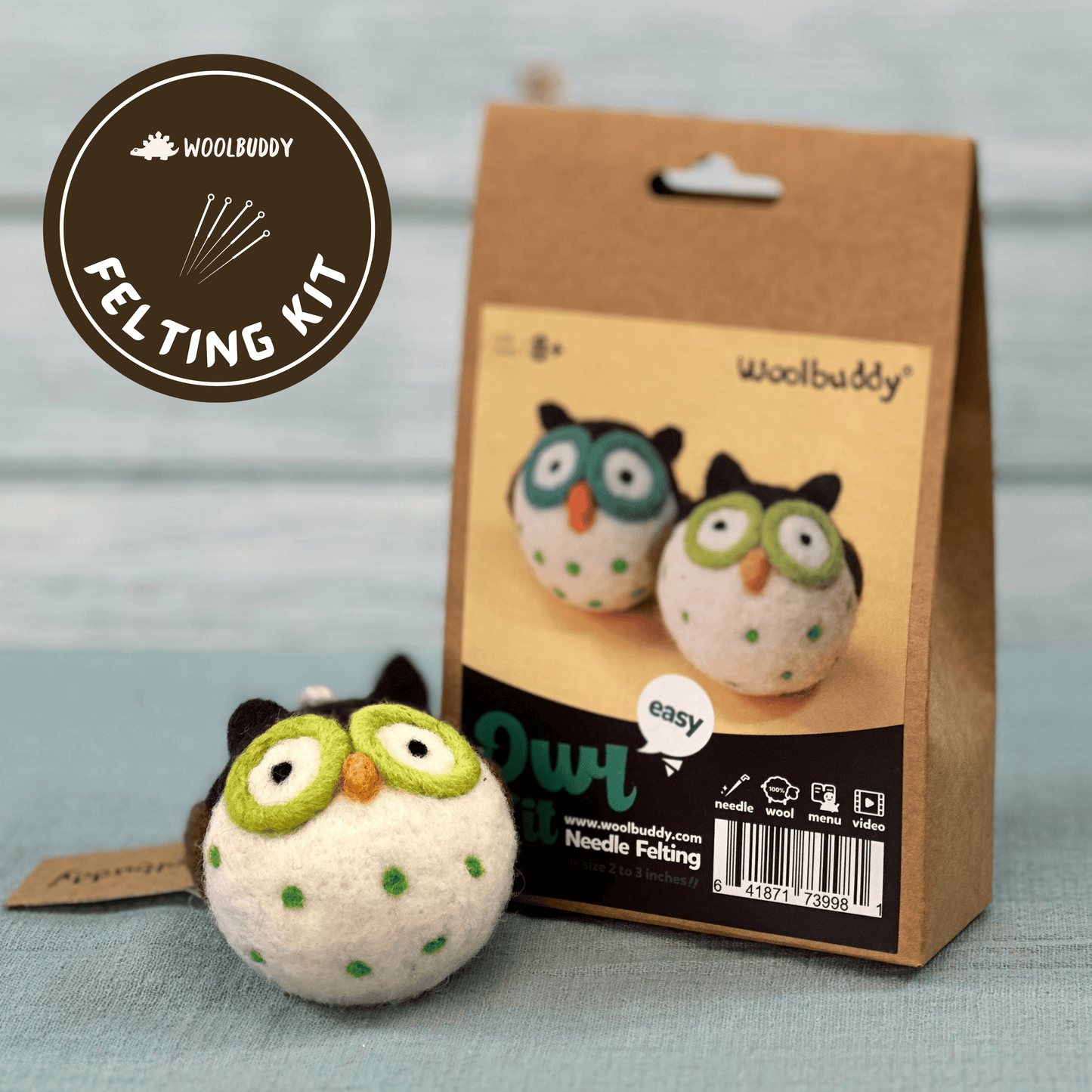 Needle Felting Kit - DIY Owl Craft Kit for Beginners