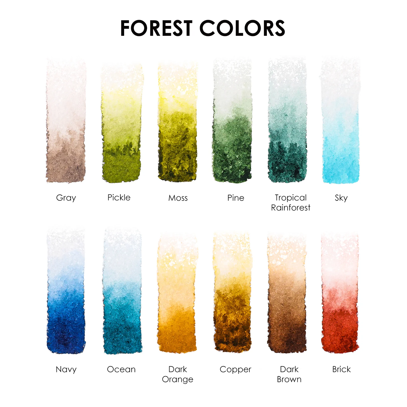 Watercolor Pocket Set Of 12 With Brush - Forest Color