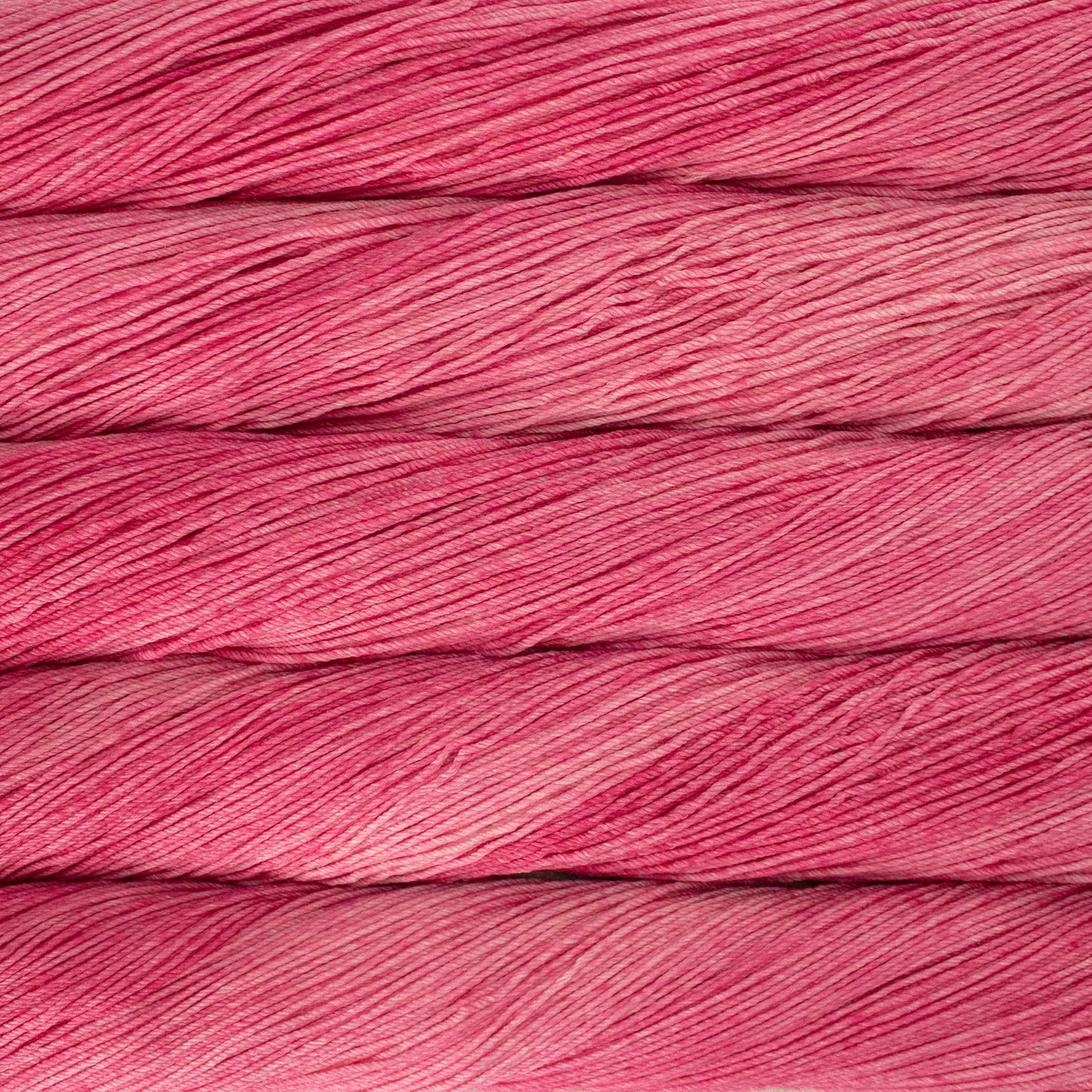 Malabrigo Arroyo - Cactus Flower