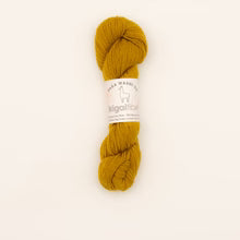 Ikigai Fibers Paka Washi Yarn